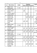 Konspekts 'Jauniešu interešu centrs "Colere"', 9.