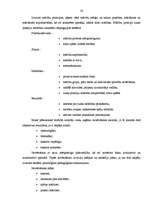 Diplomdarbs 'Runātprasmes attīstība sākumskolā', 38.