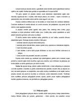 Diplomdarbs 'Runātprasmes attīstība sākumskolā', 48.