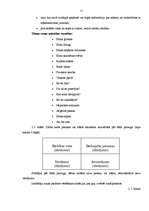 Diplomdarbs 'Runātprasmes attīstība sākumskolā', 51.