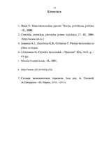 Referāts 'Ievads mikroekonomikā', 13.