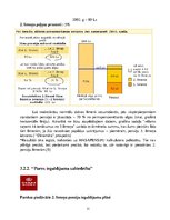 Referāts 'Pensiju līmeņi', 22.