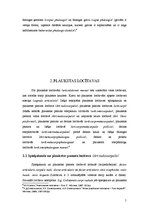 Referāts 'Plaukstas kaulu un locītavu uzbūve', 5.