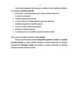 Diplomdarbs 'Projektu izstrāde investīciju piesaistīšanai uzņēmumam "N"', 7.