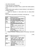 Diplomdarbs 'Projektu izstrāde investīciju piesaistīšanai uzņēmumam "N"', 17.