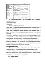 Diplomdarbs 'Projektu izstrāde investīciju piesaistīšanai uzņēmumam "N"', 19.