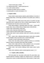 Diplomdarbs 'Projektu izstrāde investīciju piesaistīšanai uzņēmumam "N"', 22.