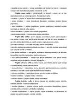 Diplomdarbs 'Projektu izstrāde investīciju piesaistīšanai uzņēmumam "N"', 24.