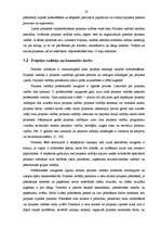 Diplomdarbs 'Projektu izstrāde investīciju piesaistīšanai uzņēmumam "N"', 28.