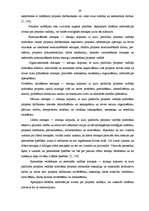 Diplomdarbs 'Projektu izstrāde investīciju piesaistīšanai uzņēmumam "N"', 29.