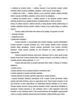 Diplomdarbs 'Projektu izstrāde investīciju piesaistīšanai uzņēmumam "N"', 30.