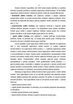 Diplomdarbs 'Projektu izstrāde investīciju piesaistīšanai uzņēmumam "N"', 31.