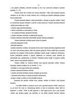 Diplomdarbs 'Projektu izstrāde investīciju piesaistīšanai uzņēmumam "N"', 32.