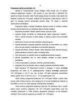 Diplomdarbs 'Projektu izstrāde investīciju piesaistīšanai uzņēmumam "N"', 34.