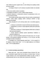 Diplomdarbs 'Projektu izstrāde investīciju piesaistīšanai uzņēmumam "N"', 41.