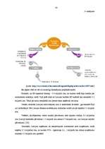 Diplomdarbs 'Projektu izstrāde investīciju piesaistīšanai uzņēmumam "N"', 44.