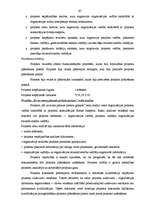 Diplomdarbs 'Projektu izstrāde investīciju piesaistīšanai uzņēmumam "N"', 65.