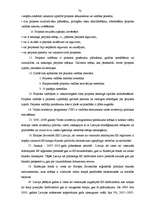 Diplomdarbs 'Projektu izstrāde investīciju piesaistīšanai uzņēmumam "N"', 70.