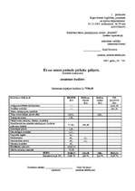 Diplomdarbs 'Projektu izstrāde investīciju piesaistīšanai uzņēmumam "N"', 74.