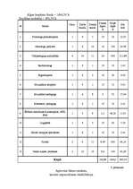 Diplomdarbs 'Projektu izstrāde investīciju piesaistīšanai uzņēmumam "N"', 79.