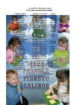 Diplomdarbs 'Projektu izstrāde investīciju piesaistīšanai uzņēmumam "N"', 80.