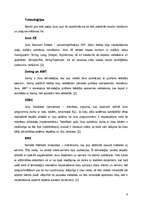 Referāts 'Ievads studiju nozarē; Java', 8.