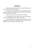 Referāts 'Ievads studiju nozarē; Java', 12.