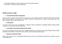 Konspekts 'Išēmisks insults', 5.