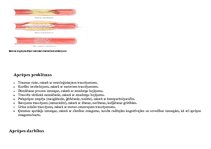 Konspekts 'Išēmisks insults', 7.