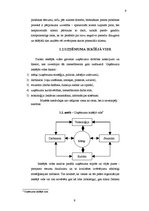 Referāts 'Uzņēmuma "123" iekšējās un ārējās vides analīze', 9.