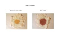 Referāts 'Veļas ziepes', 7.