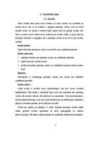 Referāts 'Ķermeņa valoda', 3.