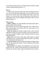 Referāts 'Ķermeņa valoda', 8.