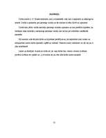 Referāts 'Ķermeņa valoda', 32.