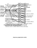Konspekts 'Loģistikas pamati', 3.