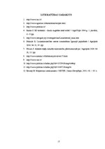 Referāts 'Sīksaimniecību konkurētspējas paaugstināšanas iespējas', 17.