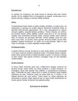 Referāts 'Ķermeņa māksla', 22.