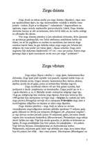 Konspekts 'Zirgi', 2.