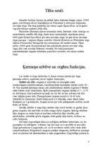 Konspekts 'Zirgi', 4.