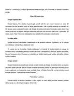 Konspekts 'Atsevišķu politisko institūciju grupu raksturojums', 11.