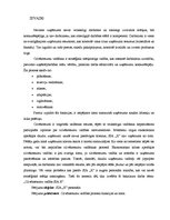 Diplomdarbs 'Cilvēkresursu vadība SIA "X"', 5.