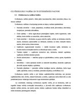 Diplomdarbs 'Cilvēkresursu vadība SIA "X"', 7.