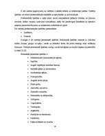 Diplomdarbs 'Cilvēkresursu vadība SIA "X"', 19.