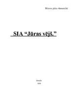 Biznesa plāns 'Biznesa plāns', 1.