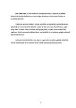 Biznesa plāns 'Biznesa plāns', 5.