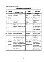 Biznesa plāns 'Biznesa plāns', 9.