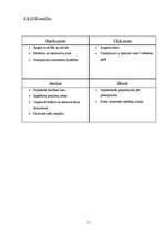 Biznesa plāns 'Biznesa plāns', 11.