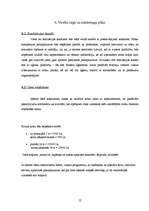 Biznesa plāns 'Biznesa plāns', 12.