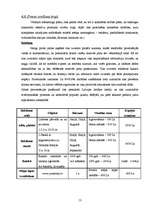 Biznesa plāns 'Biznesa plāns', 13.