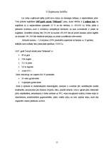 Biznesa plāns 'Biznesa plāns', 15.